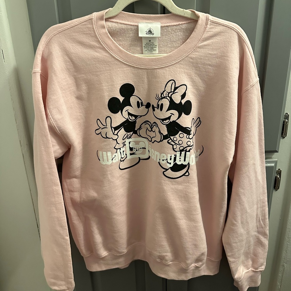 2025 Pink Valentines Disney World Sweatshirt Size Medium - Picture 2 of 3